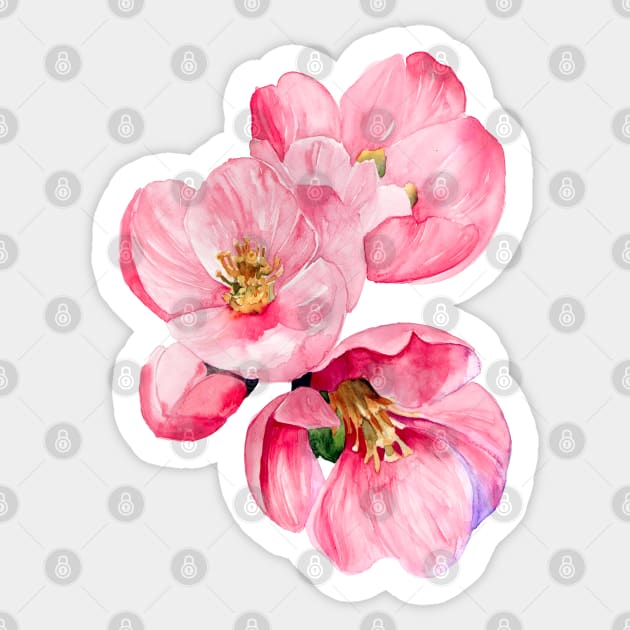 Flowering Quince Sticker by artofsuff